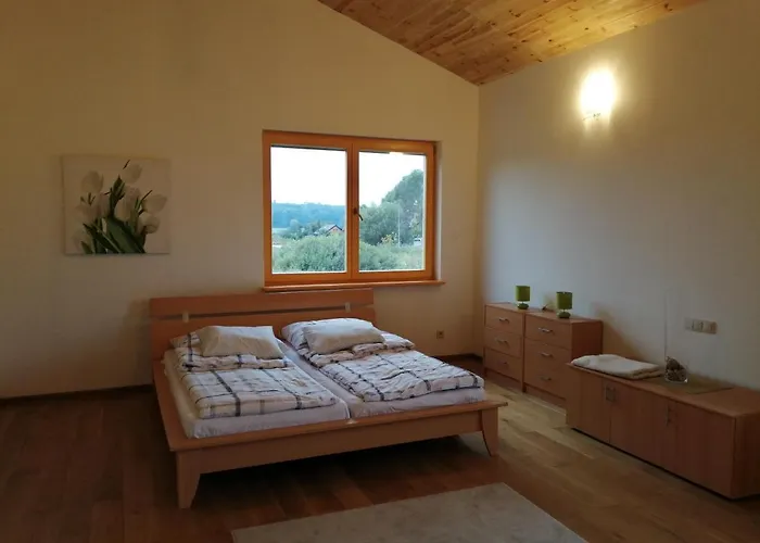 Słonecznikowa Zagroda * Debina (Ustka)